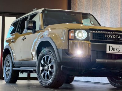 TOYOTA LAND CRUISER 250 - 10