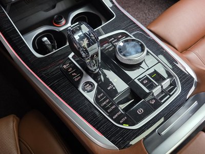 2021 BMW X7 照片 9
