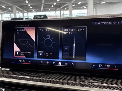 2025 BMW X7 缩略图 52