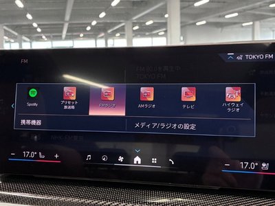 2025 BMW X7 缩略图 49
