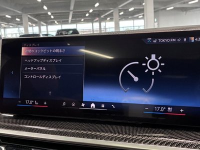 2025 BMW X7 缩略图 53