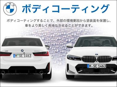 2025 BMW X7 缩略图 81