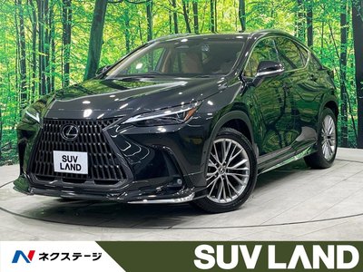 LEXUS NX - 1