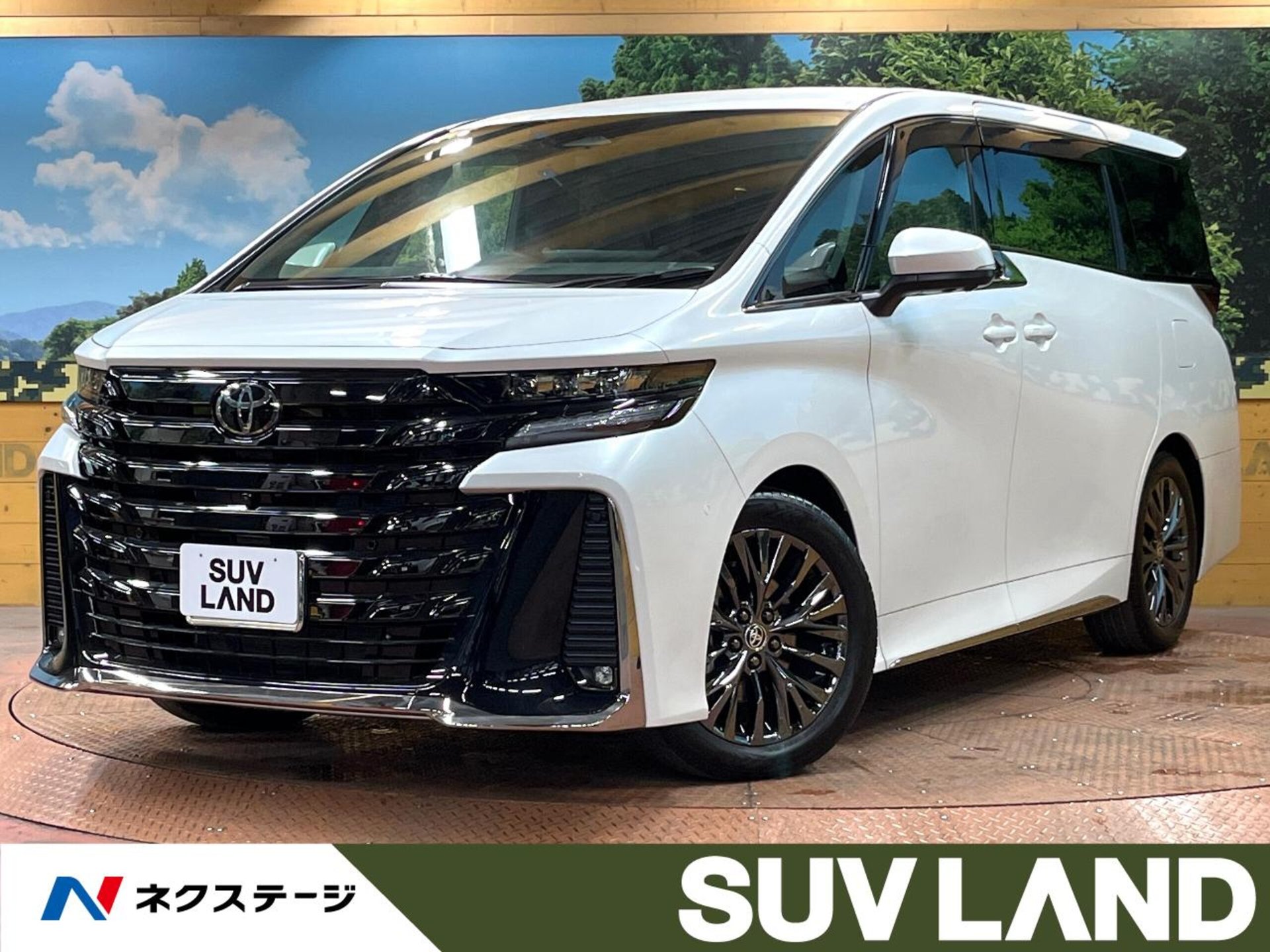 TOYOTA VELLFIRE - View 1