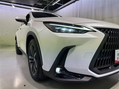 LEXUS NX - 8
