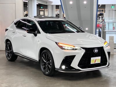 صورة 8 لـ 2023 Lexus NX