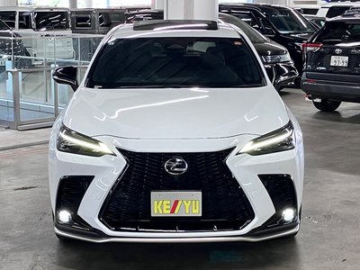 صورة 9 لـ 2023 Lexus NX