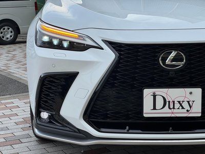 2025 Lexus NX 缩略图 21