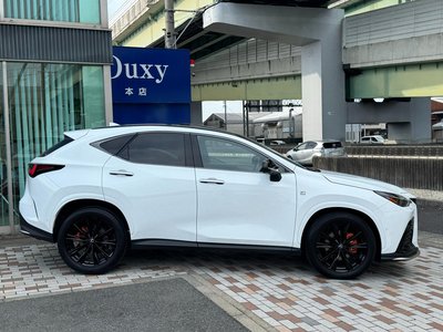 2025 Lexus NX 缩略图 23