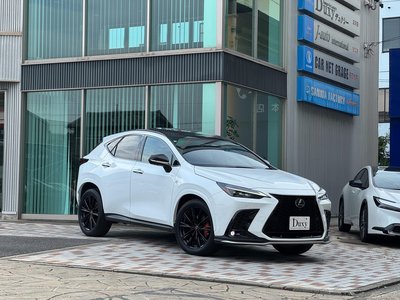2025 Lexus NX 缩略图 68