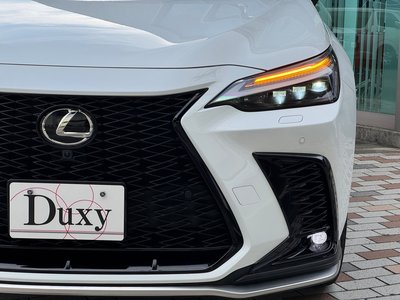 2025 Lexus NX 缩略图 22