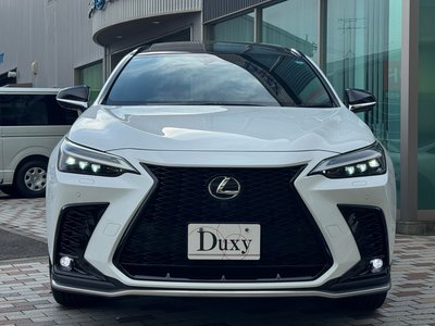 2025 Lexus NX 缩略图 20