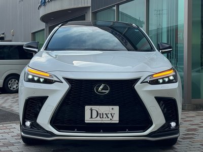 2025 Lexus NX 缩略图 19