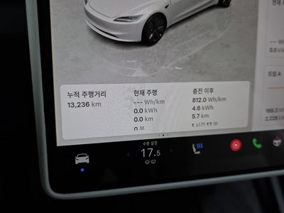 2025 Tesla MODEL 3 缩略图 11