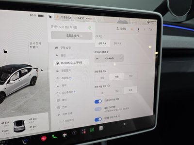 2025 Tesla MODEL 3 缩略图 30