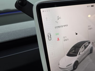 2025 Tesla MODEL 3 缩略图 12