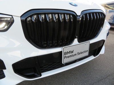 2019 BMW X5 — миниатюра 32