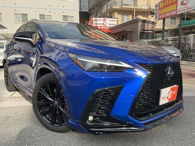 LEXUS NX - 4