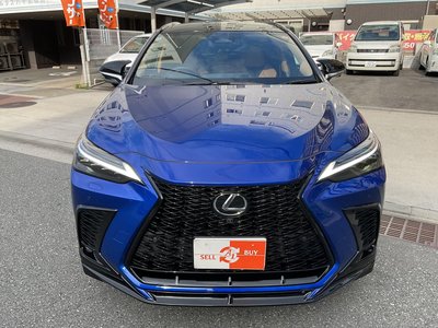 LEXUS NX - 10