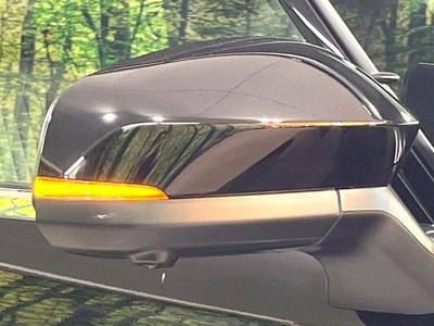 صورة مصغرة 26 لـ 2025 TOYOTA ALPHARD