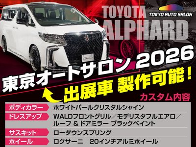 2022 Toyota ALPHARD 缩略图 30