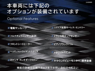 2019 Maserati LEVANTE 照片 3
