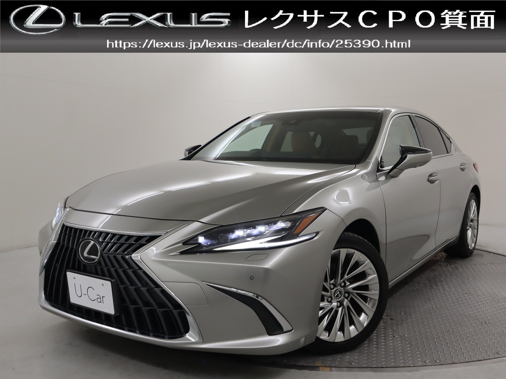 LEXUS ES - View 1
