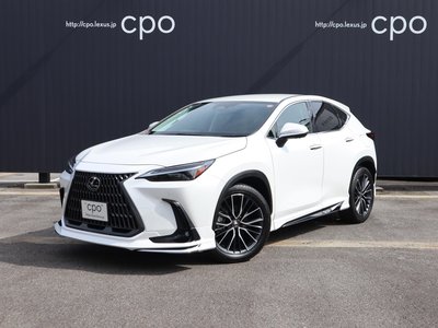 LEXUS NX - 1