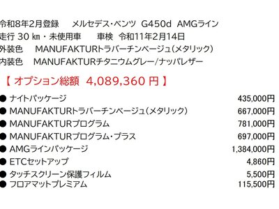 MERCEDES-BENZ G-CLASS - 3