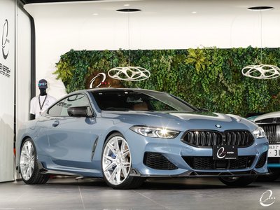 2018 BMW 8 SERIES 照片 10