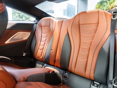 2018 BMW 8 SERIES 照片 6