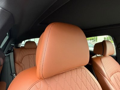 2025 BMW X6 — миниатюра 18