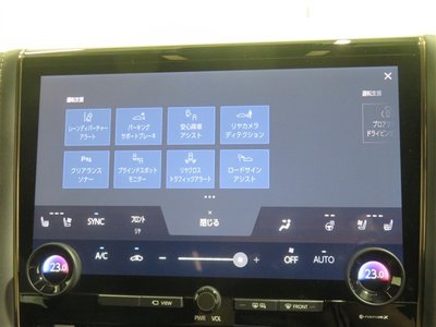 2024 TOYOTA ALPHARD — миниатюра 12