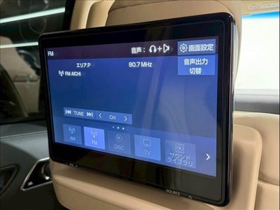 TOYOTA LAND CRUISER 300 - 9