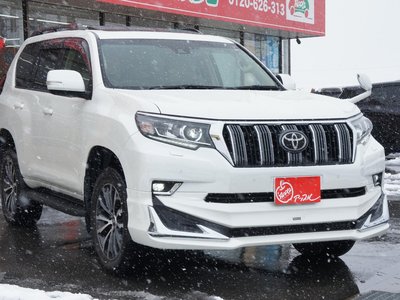 TOYOTA LAND CRUISER PRADO - 8