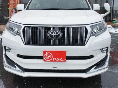 TOYOTA LAND CRUISER PRADO - 10