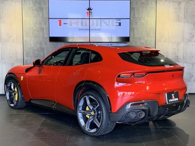 FERRARI PUROSANGUE - 7