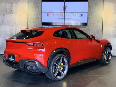 FERRARI PUROSANGUE - 5