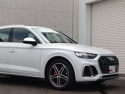 AUDI SQ5 - 8