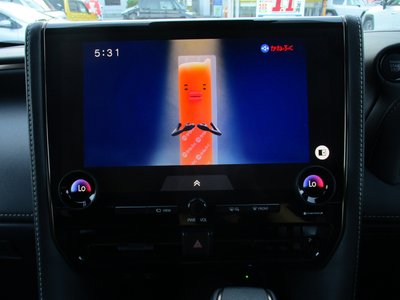 2025 TOYOTA ALPHARD — миниатюра 27