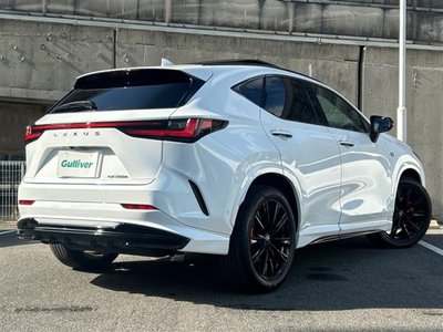 2025 Lexus NX — миниатюра 21