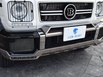 2015 Mercedes-BENZ G-CLASS 照片 9