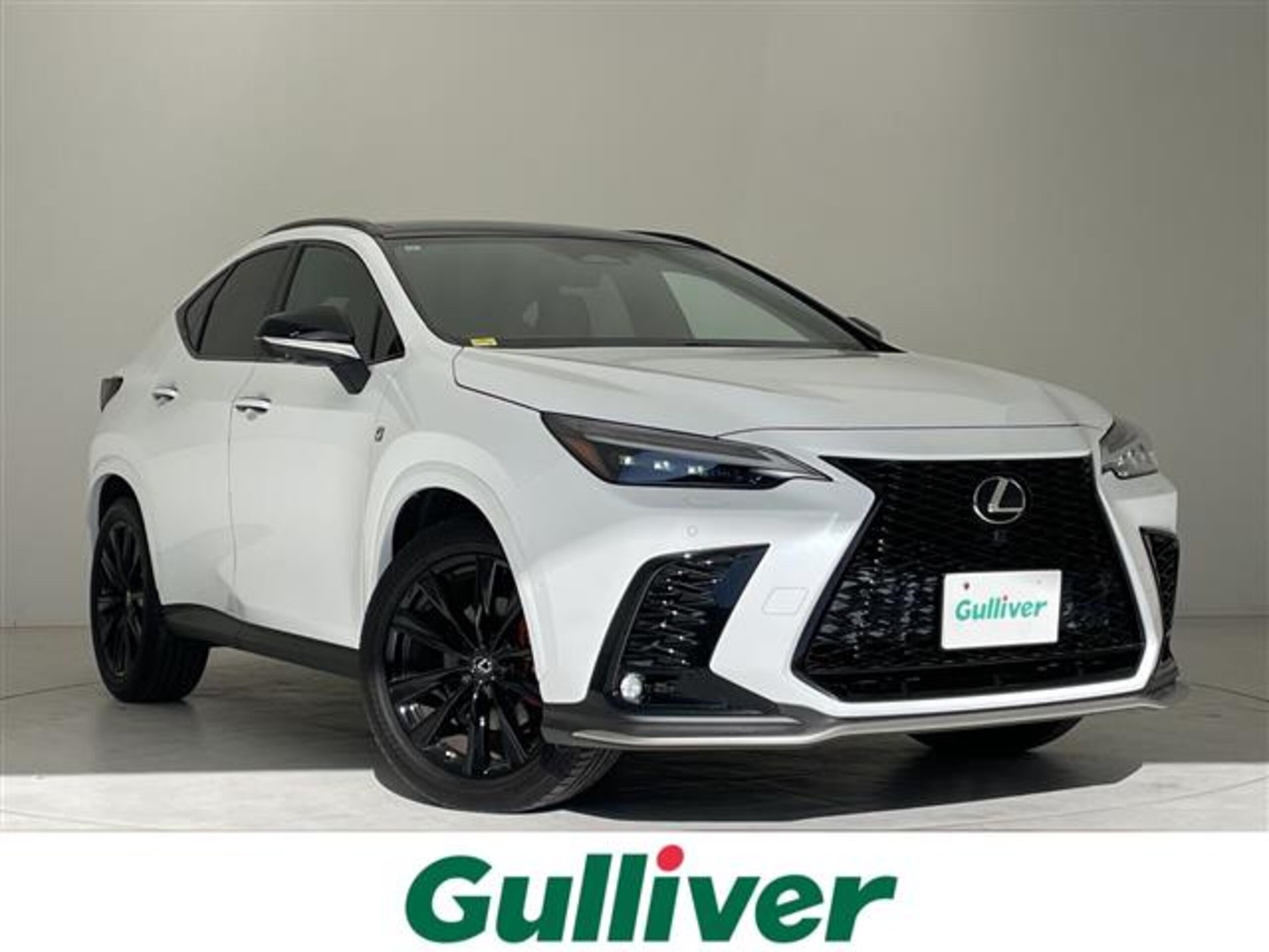 LEXUS NX - View 1