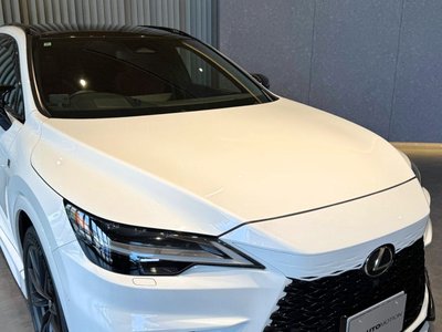 2024 Lexus RX thumbnail 25
