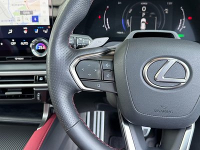 2024 Lexus RX thumbnail 47