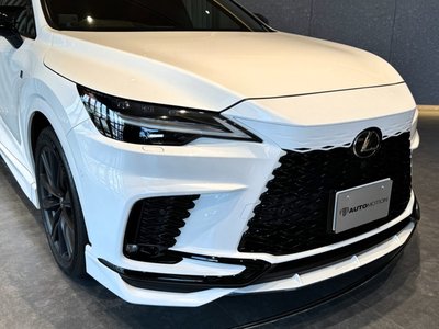 2024 Lexus RX thumbnail 22