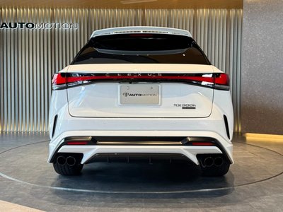 2024 Lexus RX thumbnail 13