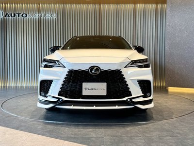 2024 Lexus RX thumbnail 21