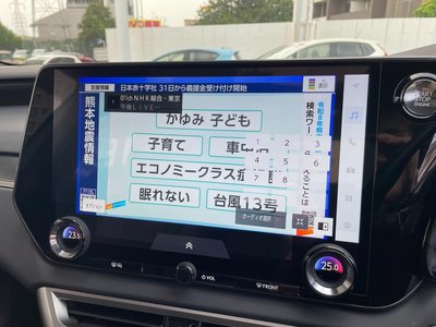 2025 Lexus RX 缩略图 33