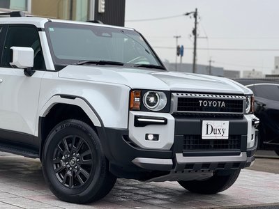 TOYOTA LAND CRUISER 250 - 10